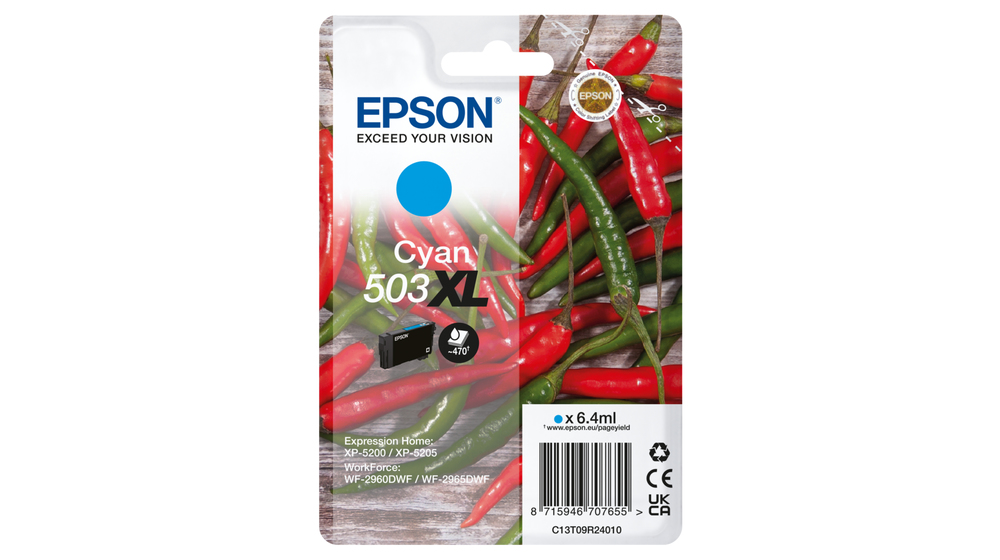 C13T09R24010 - Epson