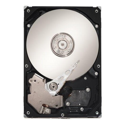 ST3300656SS-RFB - Seagate