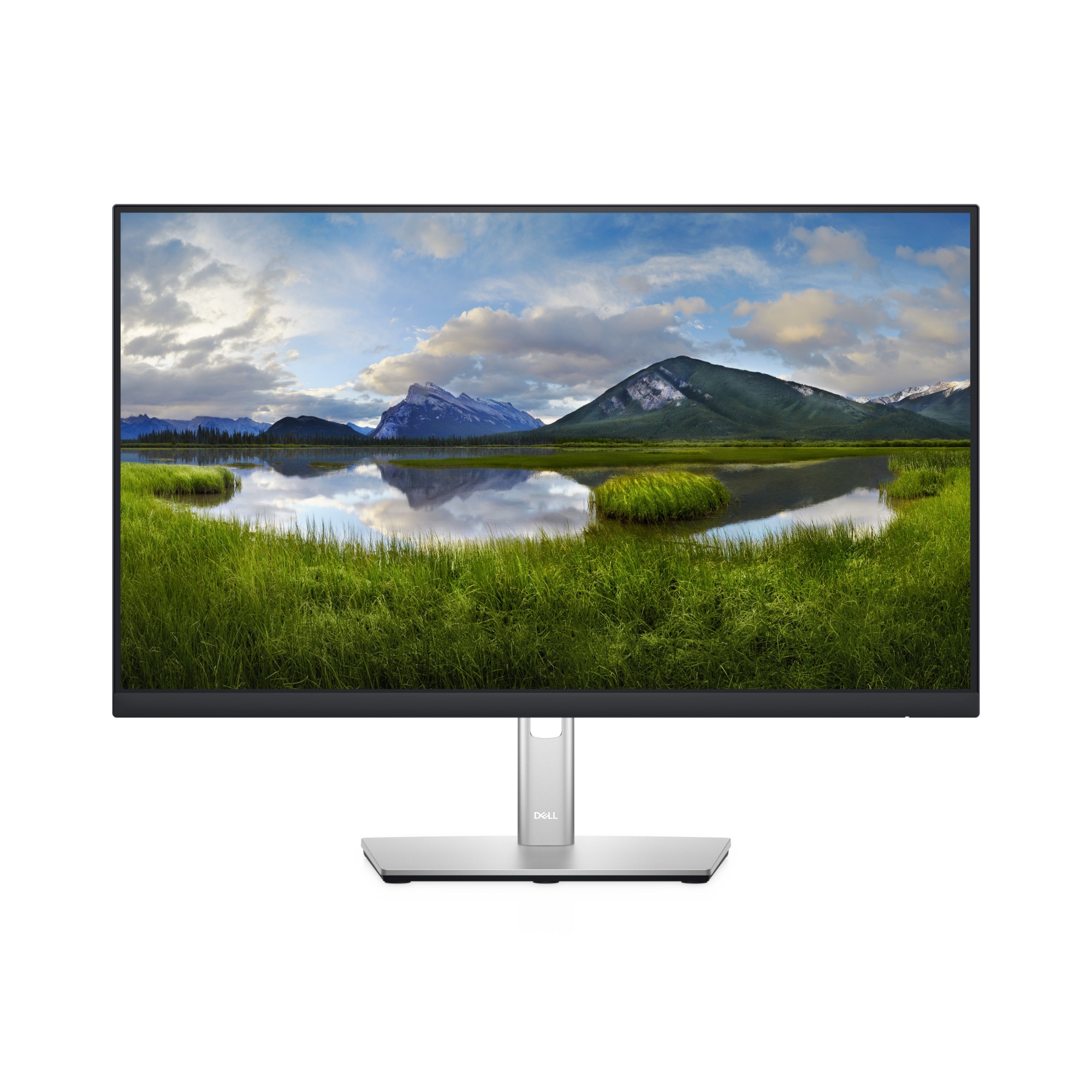 DELL-P2422H - DELL