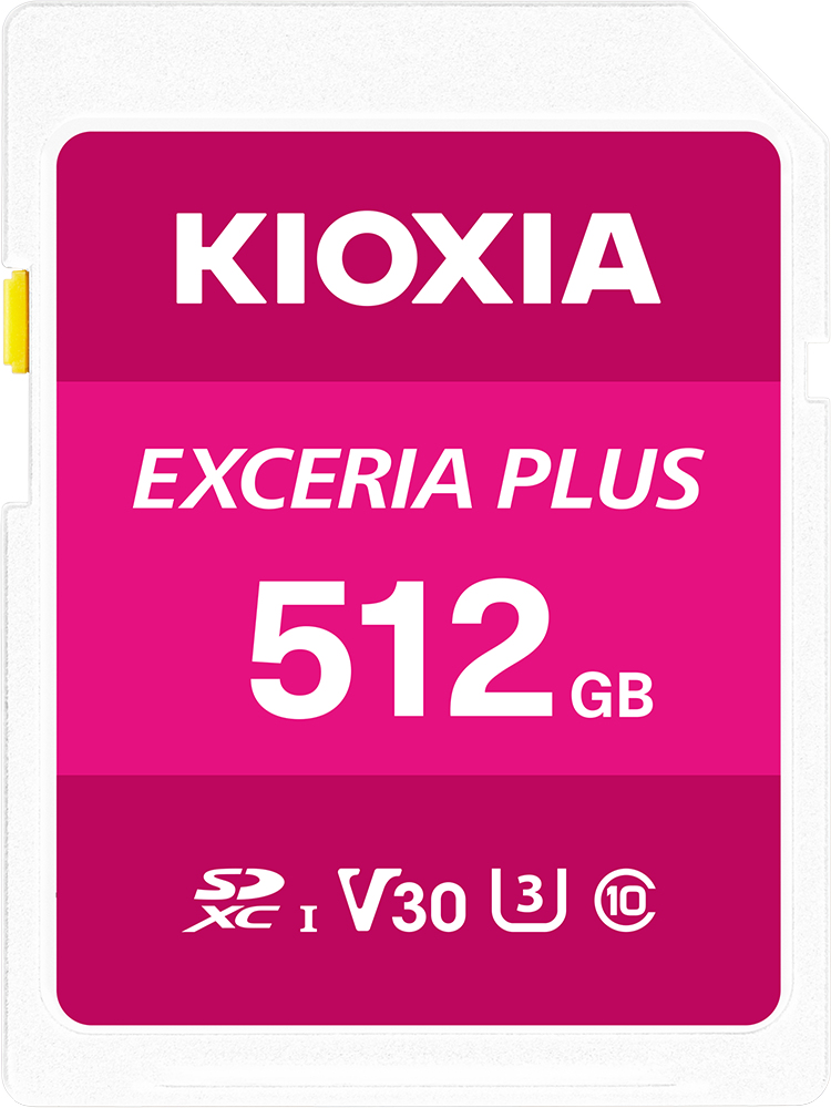 LNPL1M512GG4 - KIOXIA