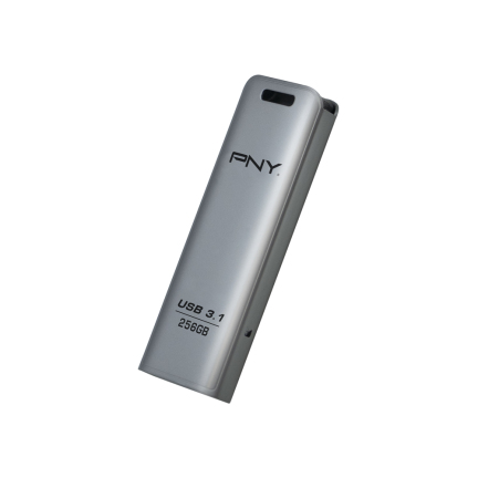 FD256ESTEEL31G-EF - PNY