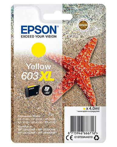 C13T03A44010 - Epson