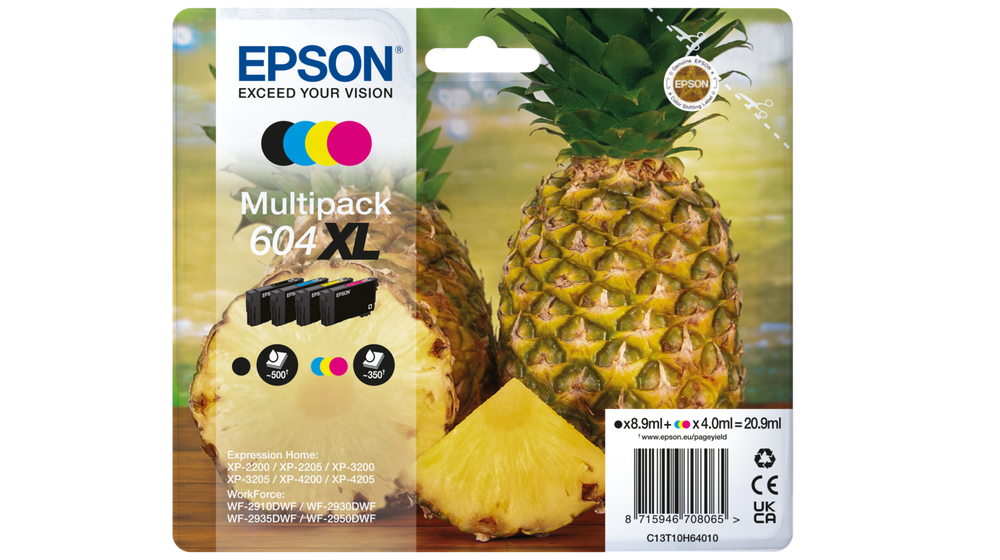 C13T10H64010 - Epson