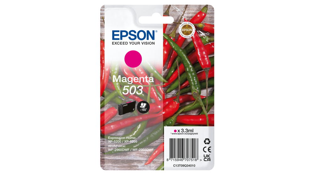 C13T09Q34010 - Epson