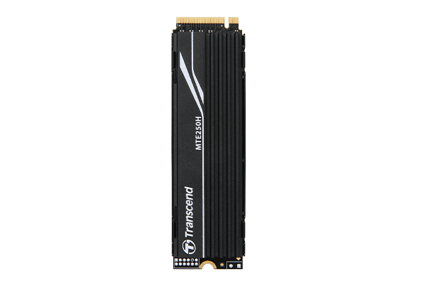 TS1TMTE250H - Transcend