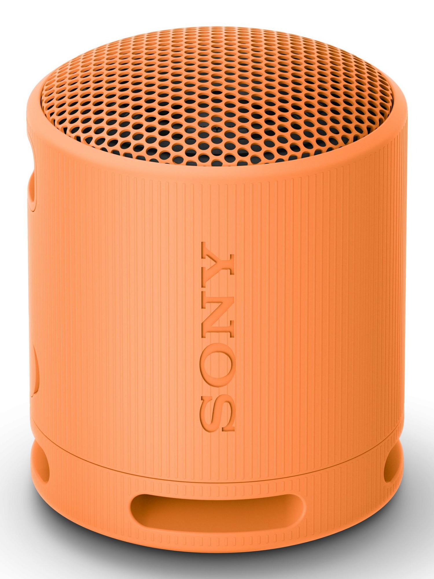 SRSXB100D.CE7 - Sony