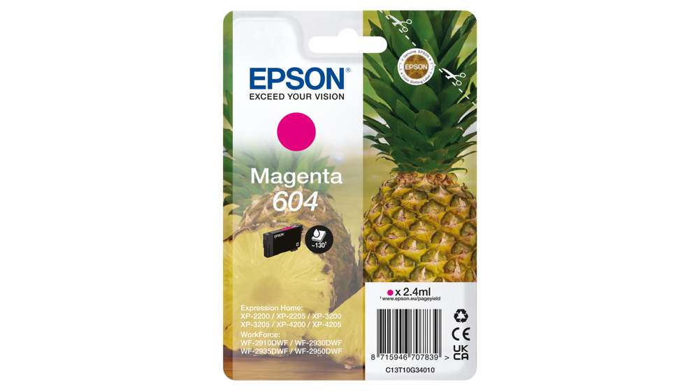 C13T10G34010 - Epson