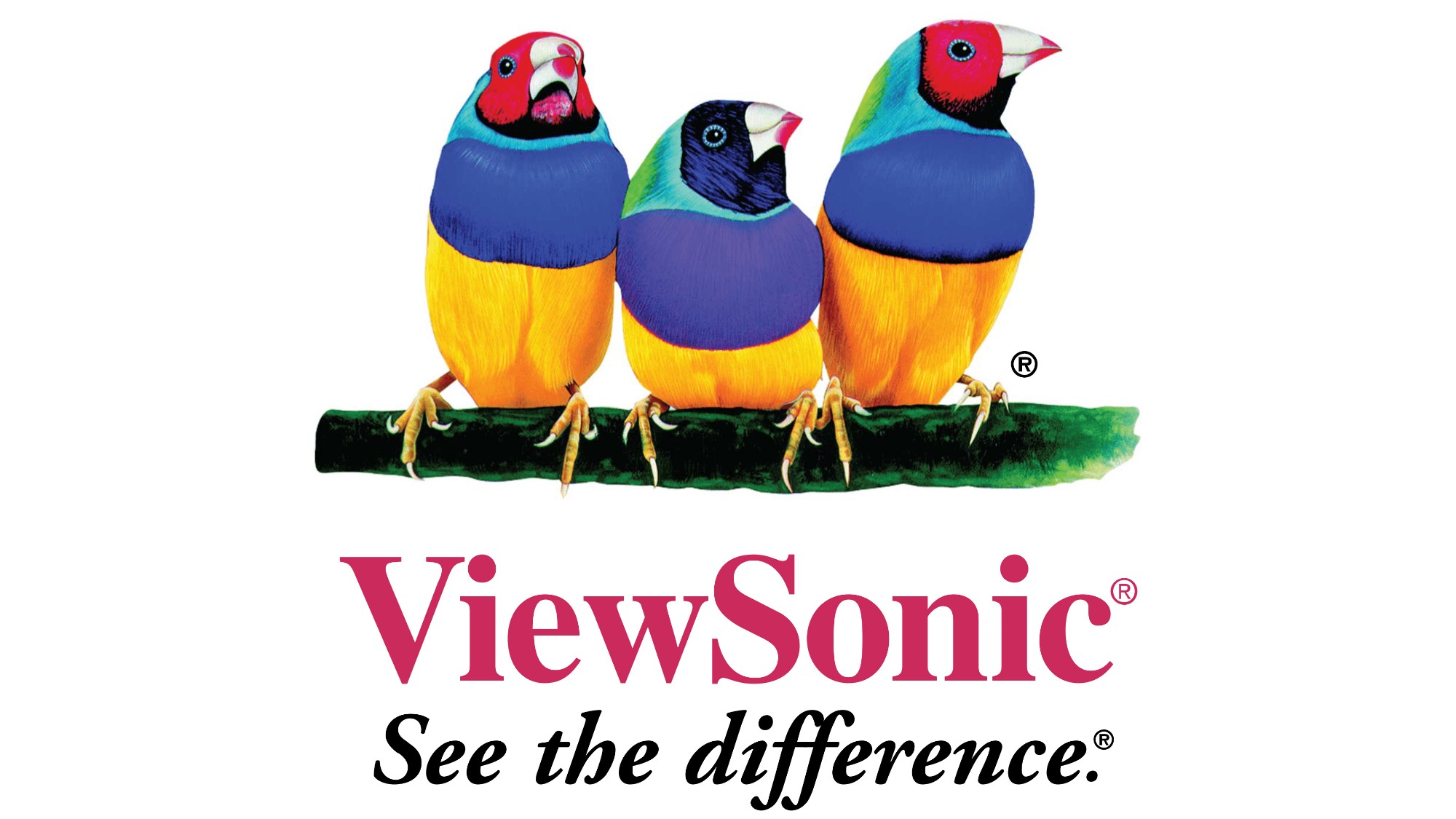 10YOSS-IFP86 - Viewsonic