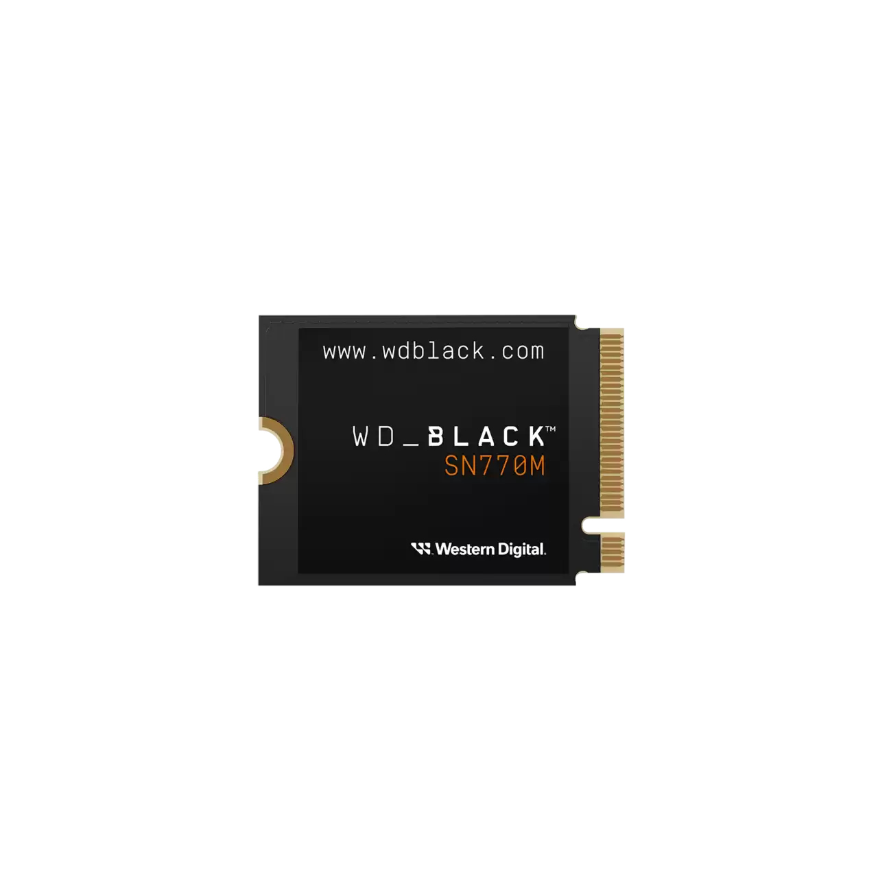 WDS100T3X0G - Western Digital