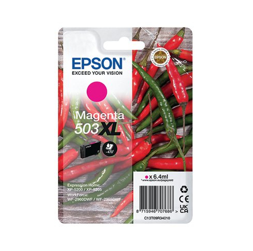 C13T09R34010 - Epson
