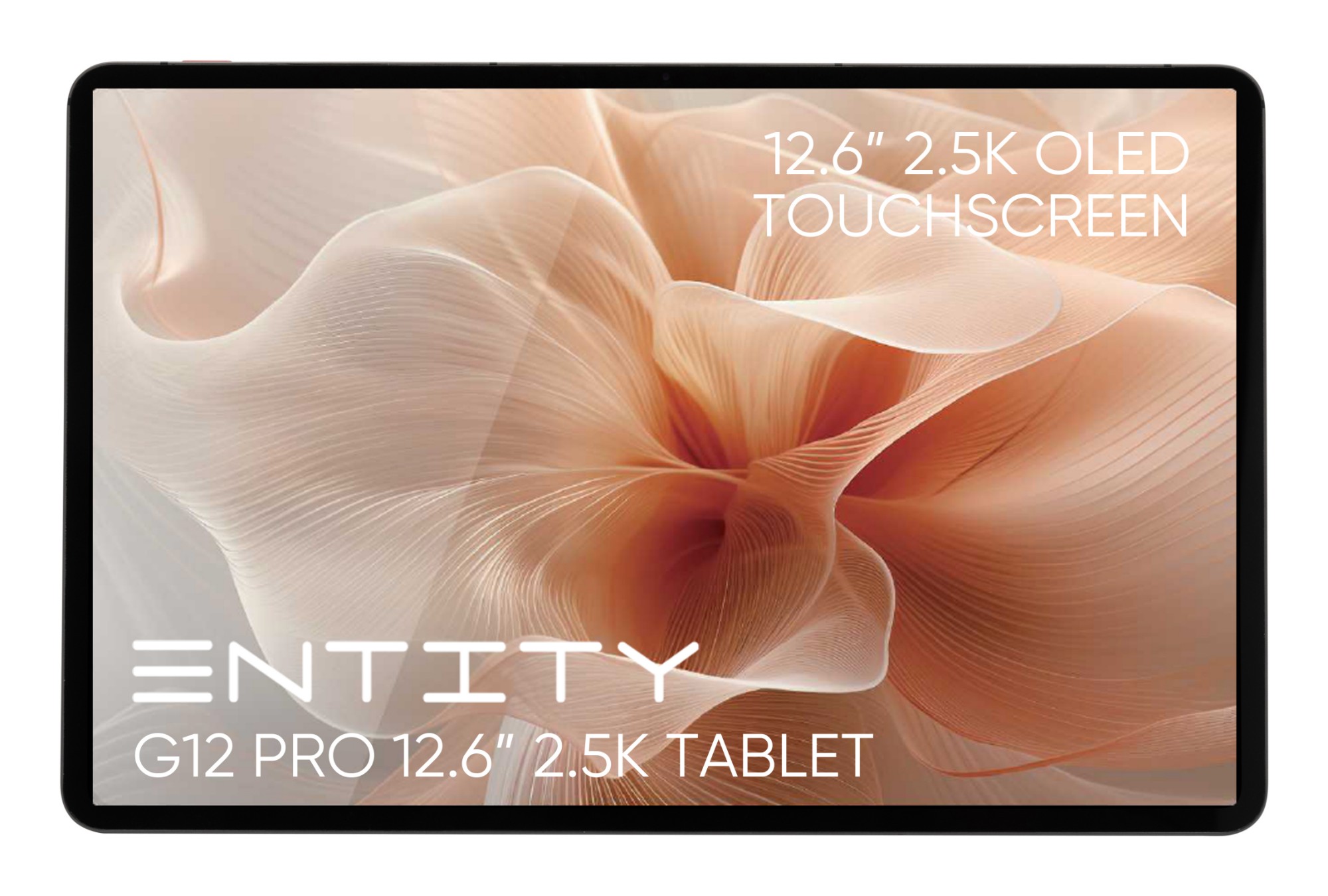 11012211 - Entity