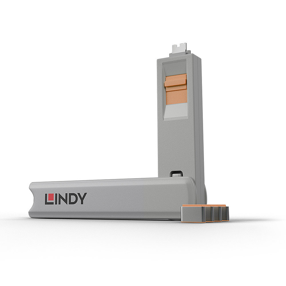 40428 - Lindy