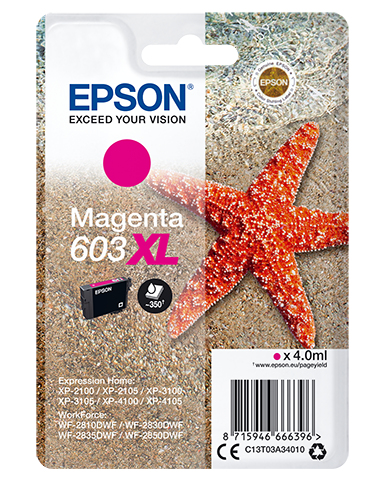 C13T03A34010 - Epson